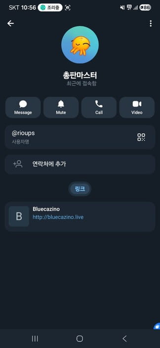 블루카지노 먹튀