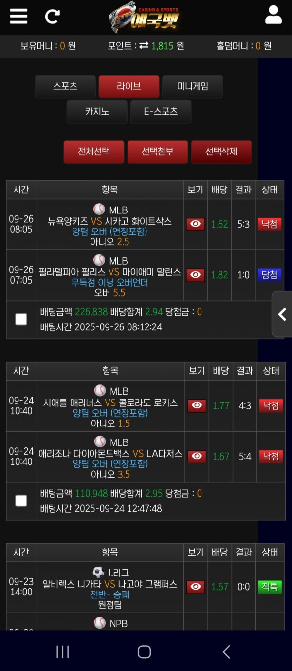 애국벳 후기