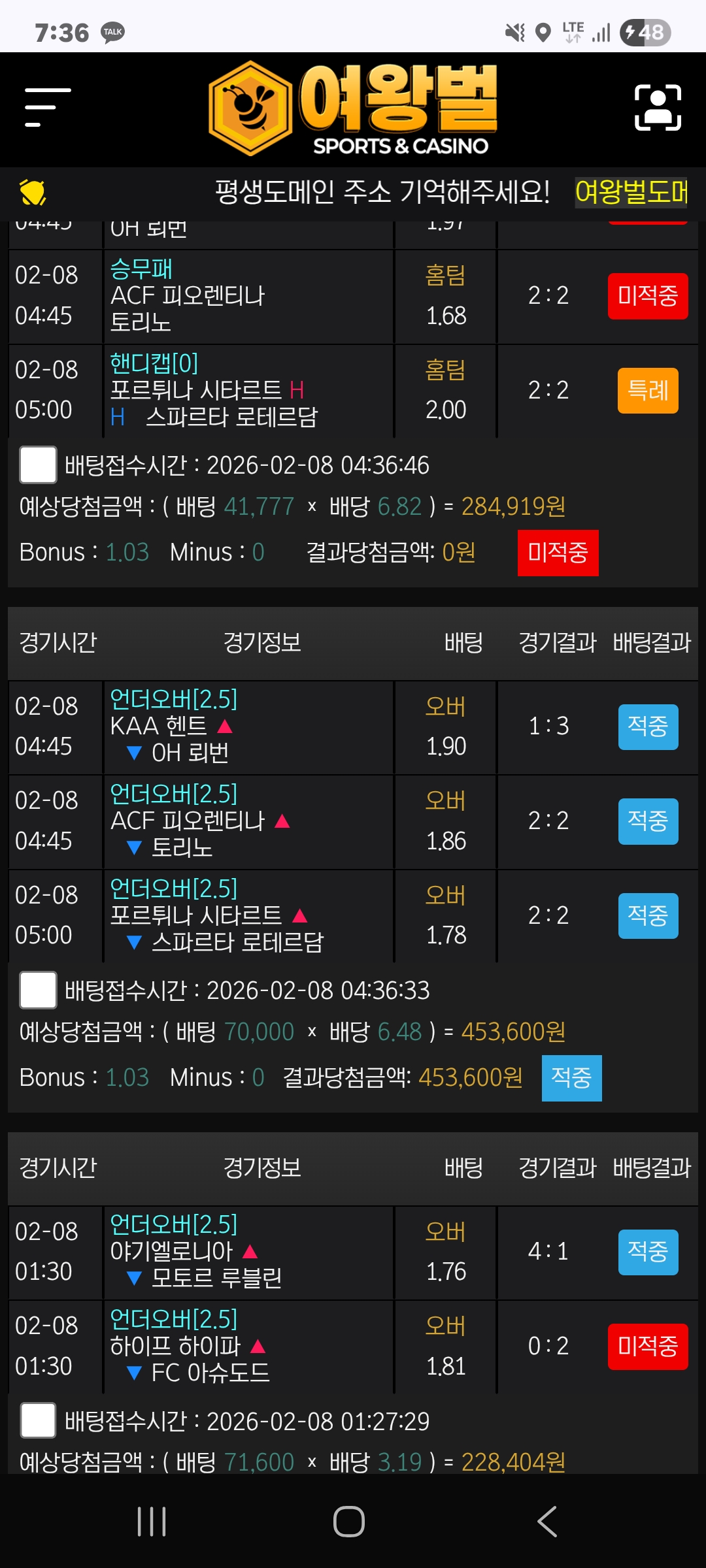 여왕벌후기