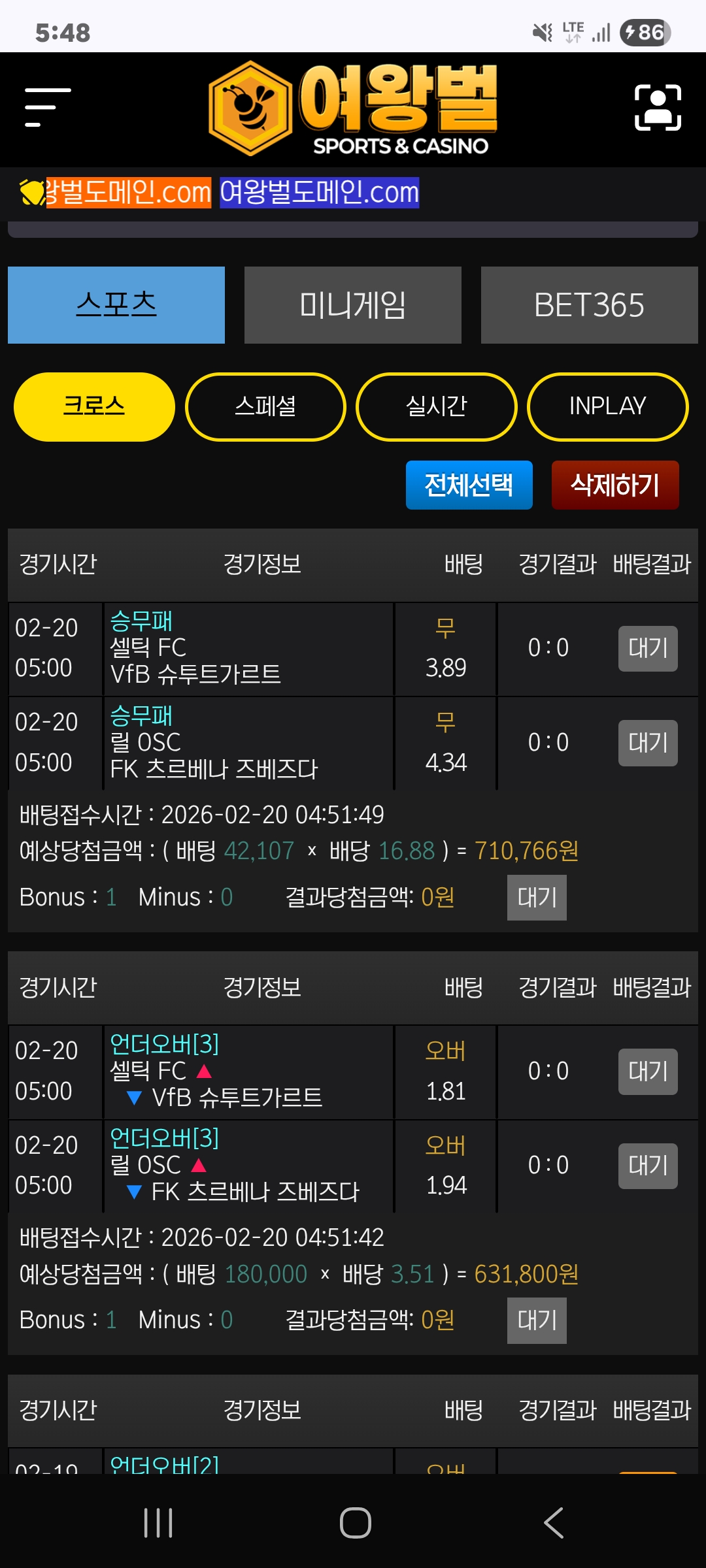 여왕벌후기