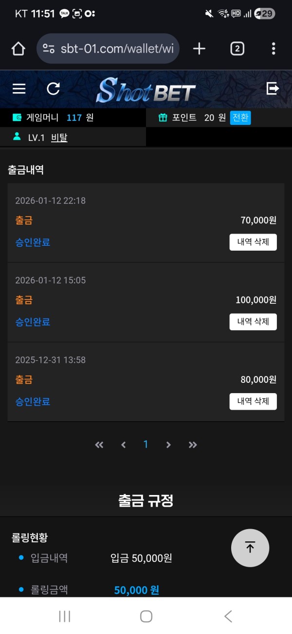 샷벳