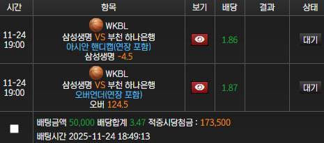스피드후기