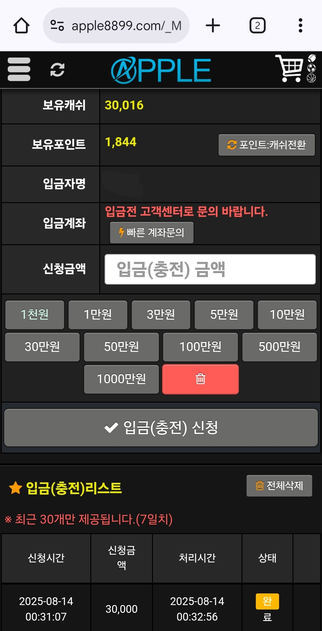 애플 후기
