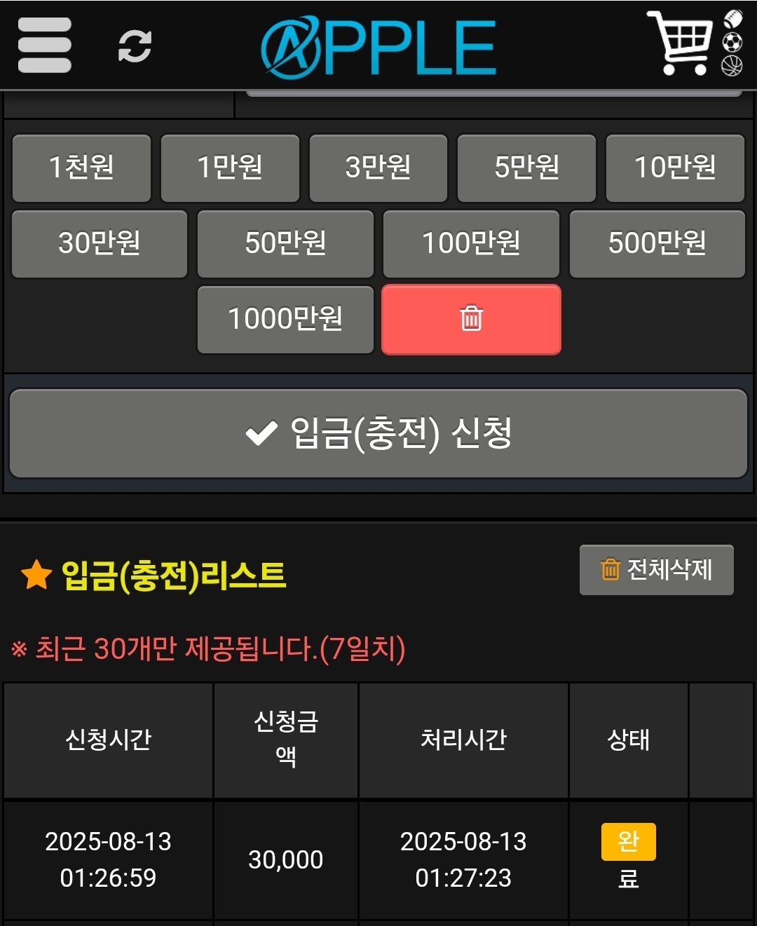 애플 후기