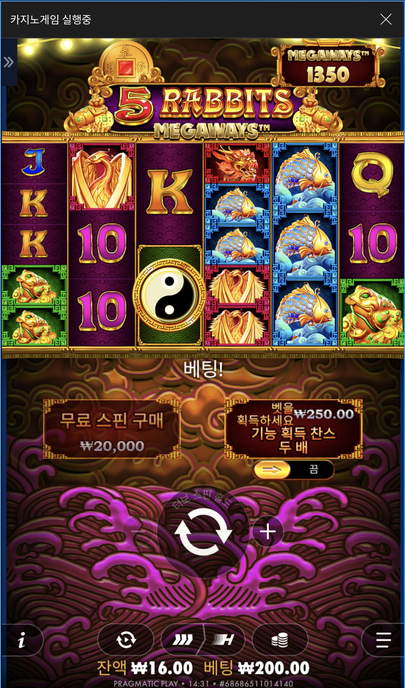 샷벳후기