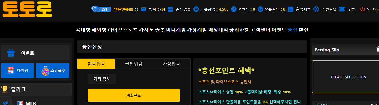 토토로이용
