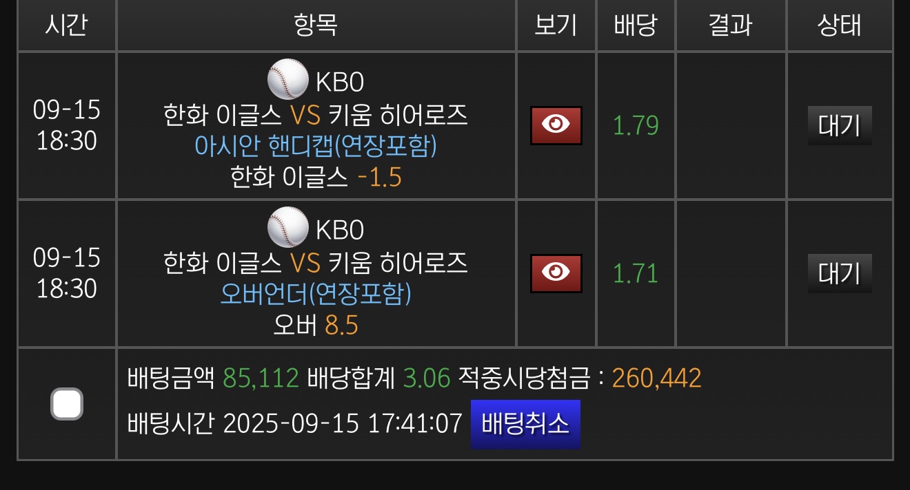 스피드후기