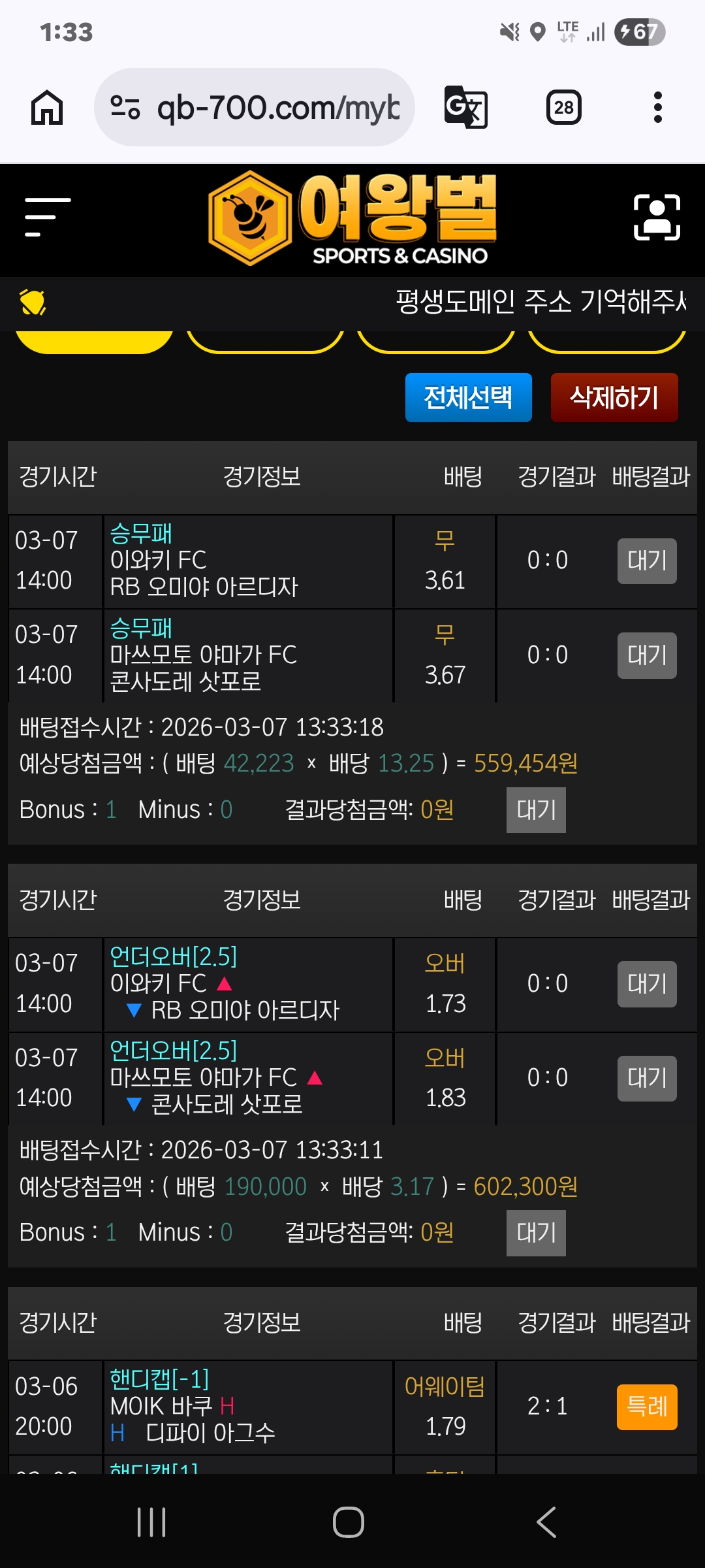 여왕벌후기