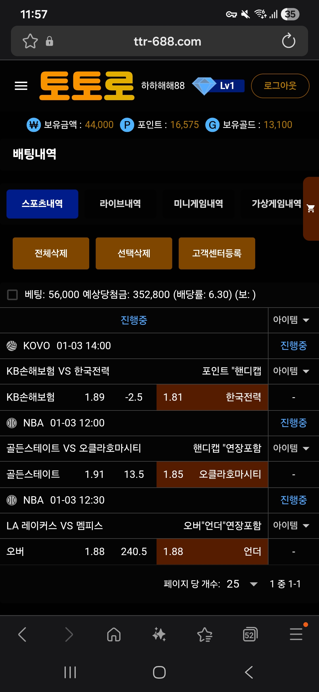 토토로 후기