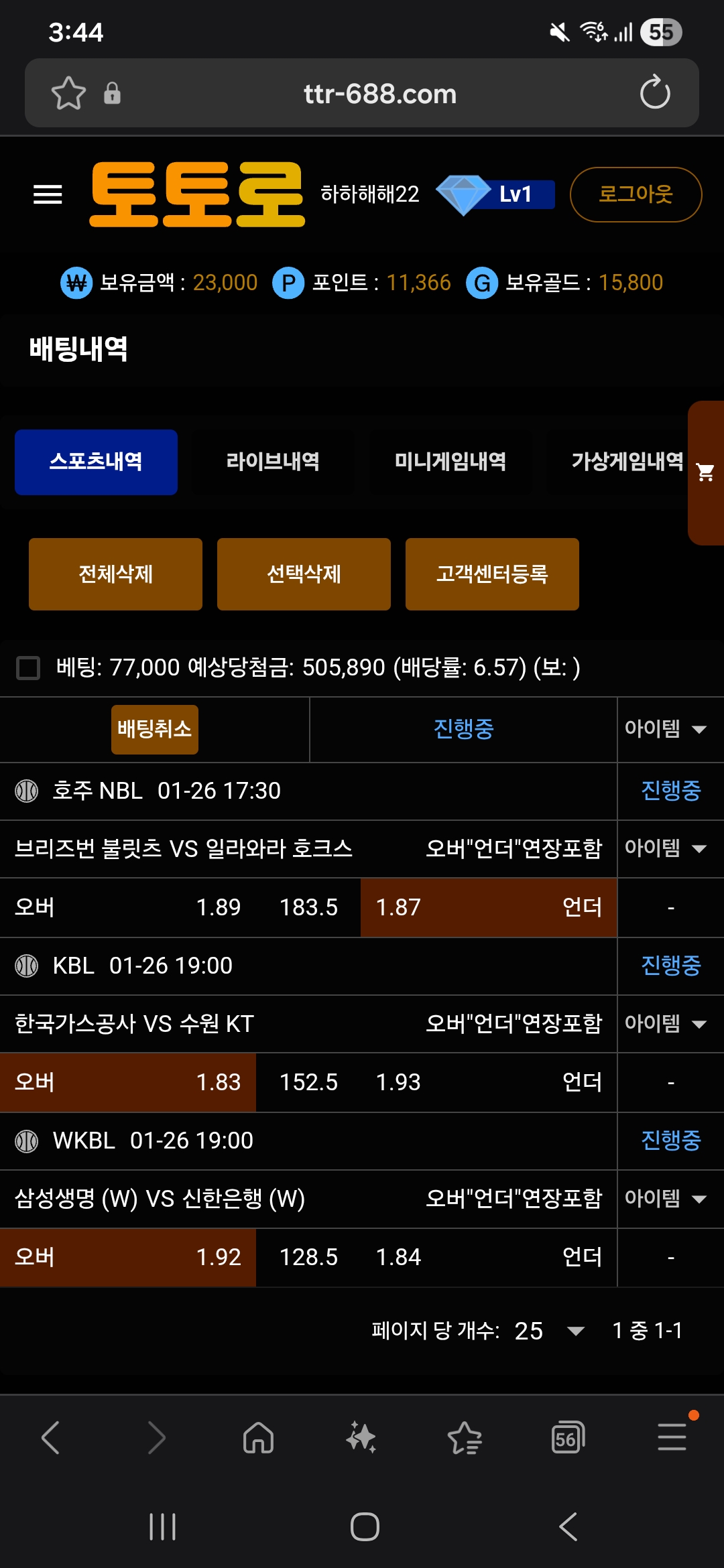 토토로 후기