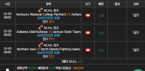 스피드후기